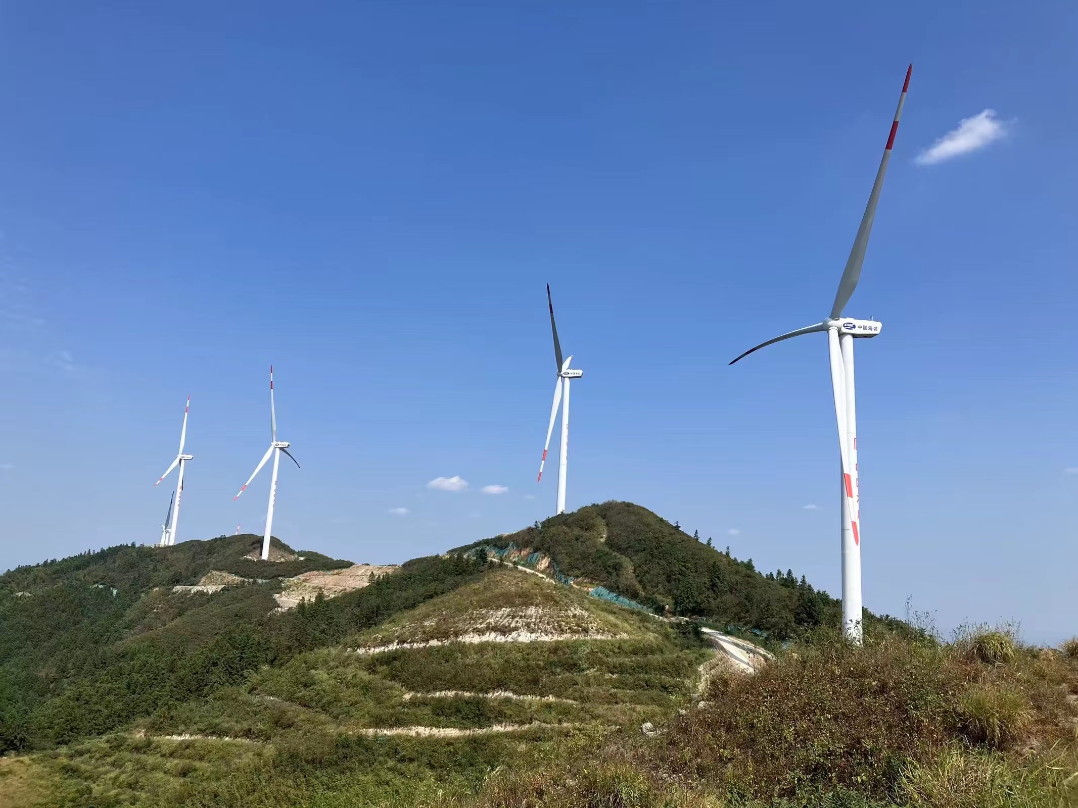 与央企合作开发风力发电项目