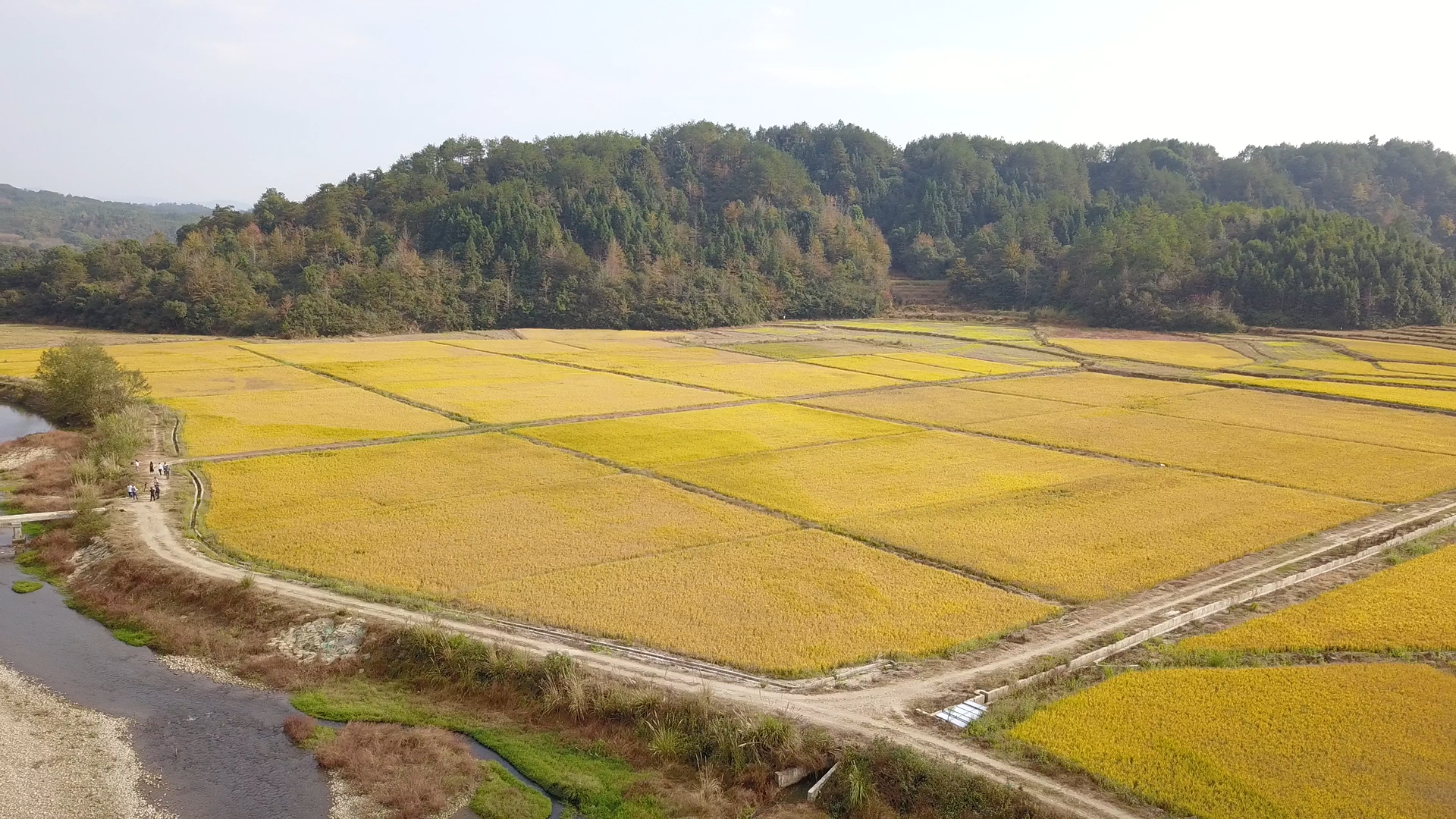 县域土地综合整治