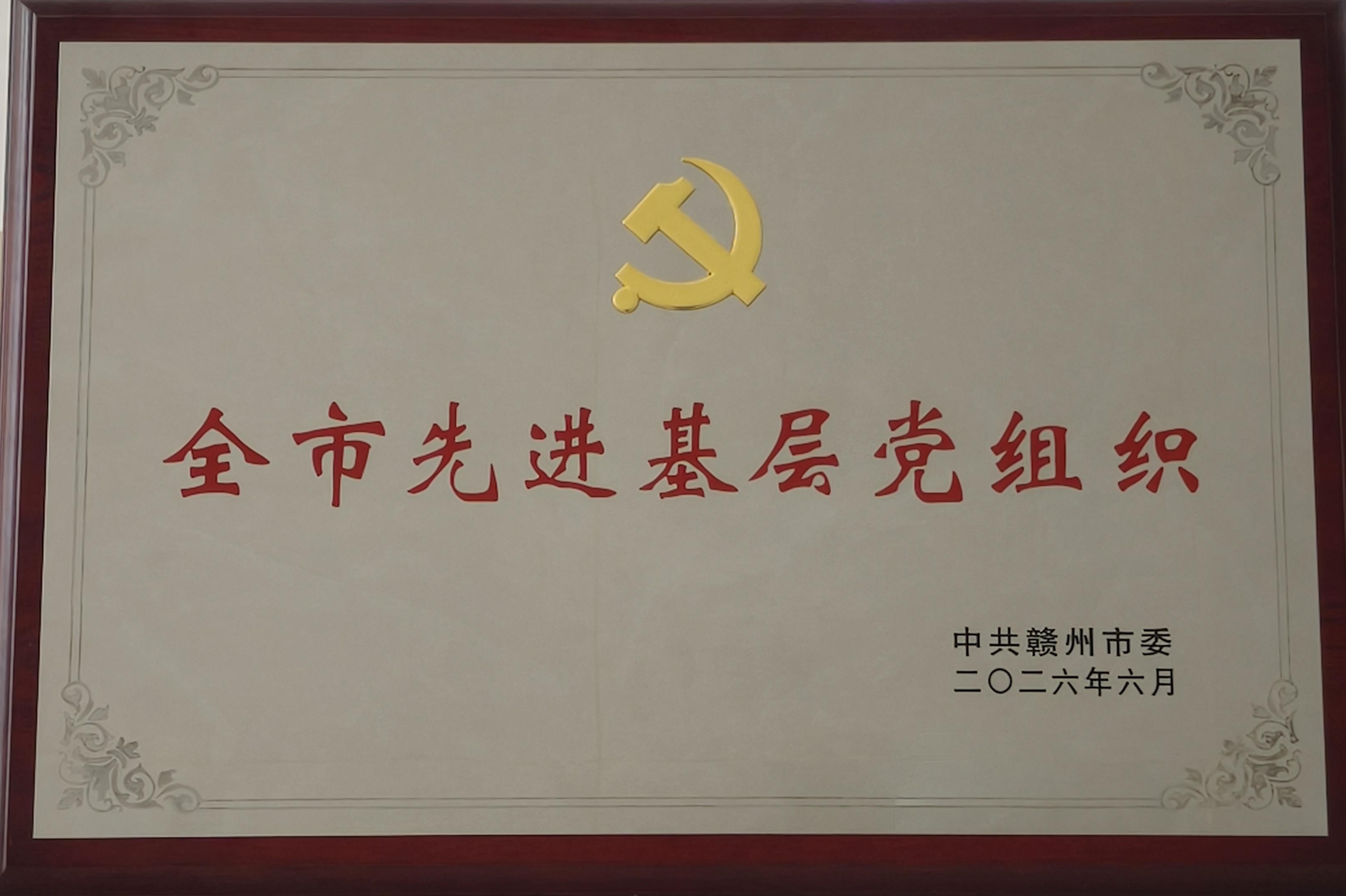 喜报！数产集团党委荣获全市“先进基层党组织”称号
